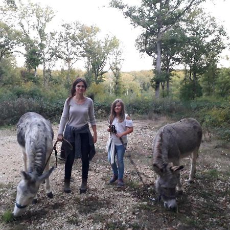 Gite Vezelay Villa Chamoux Luaran gambar