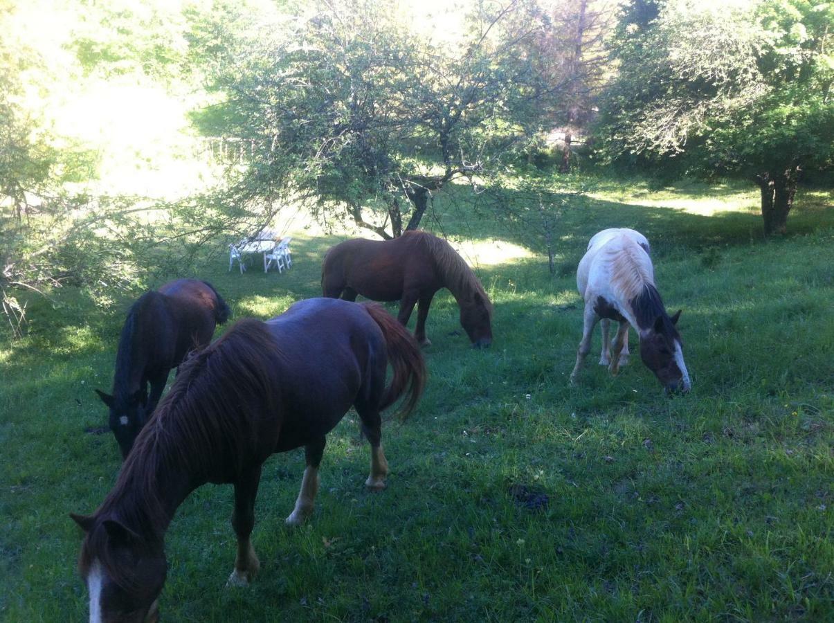 Gite Vezelay Villa Chamoux Luaran gambar