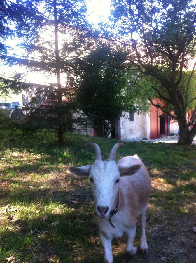 Gite Vezelay Villa Chamoux Luaran gambar